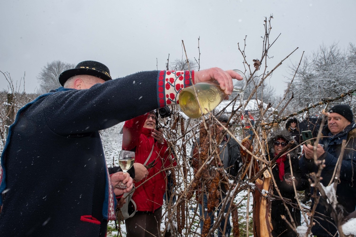 Vincekovo u Daruvaru